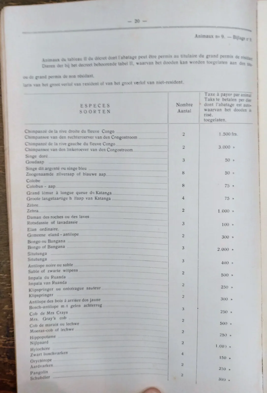 BORU 1938 p20.webp