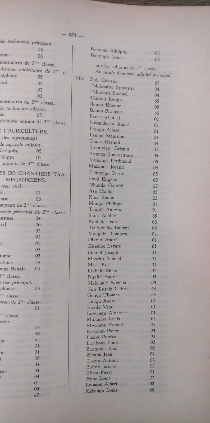 BORU 1959 annex p873a.webp